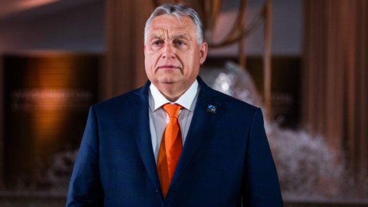 Снимка: архив, БГНЕС