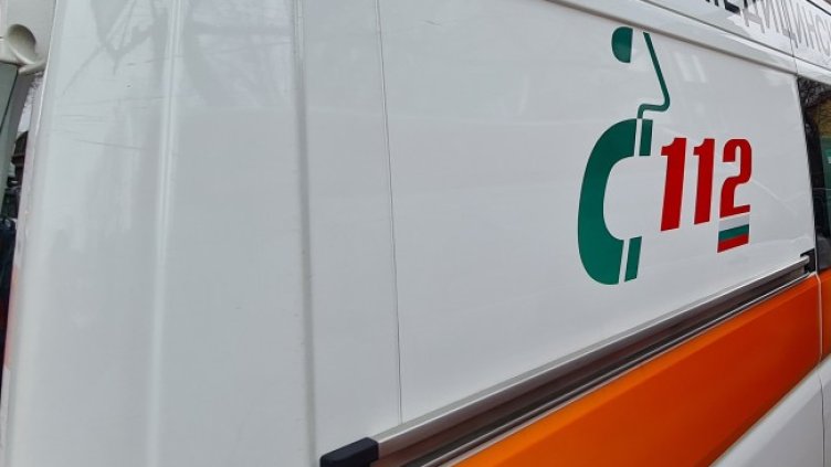 Снимка: архив, БГНЕС