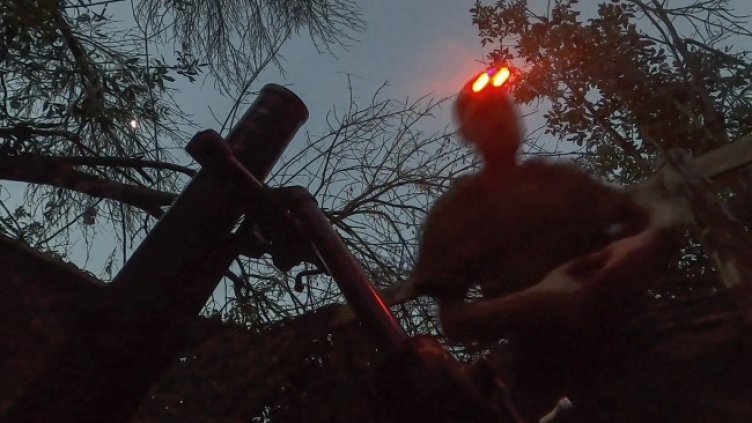 Снимка: БГНЕС/EPA