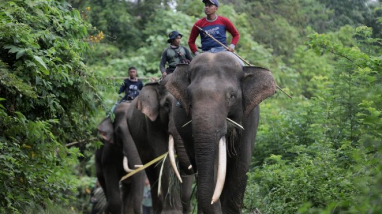 Снимка БГНЕС