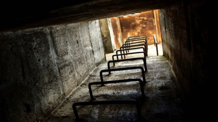 Снимка: Pixabay