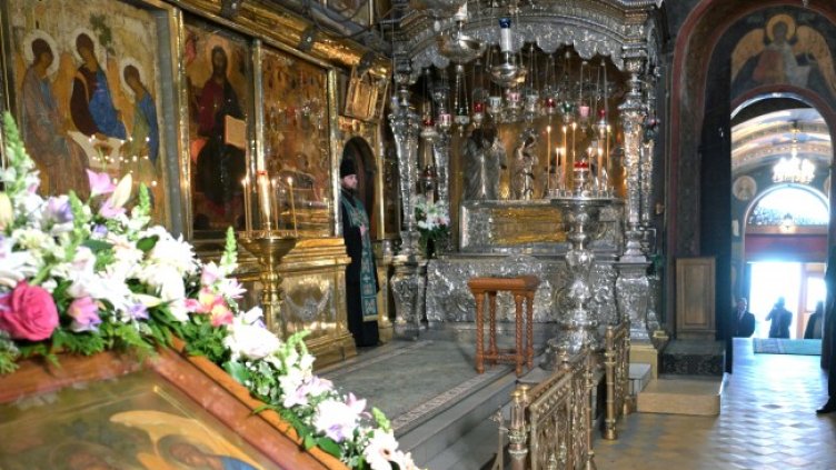 Снимка: архив, БГНЕС