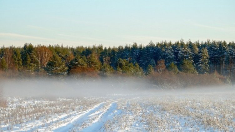 Снимка: Pixabay