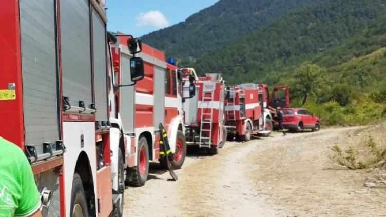 Снимка: БГНЕС