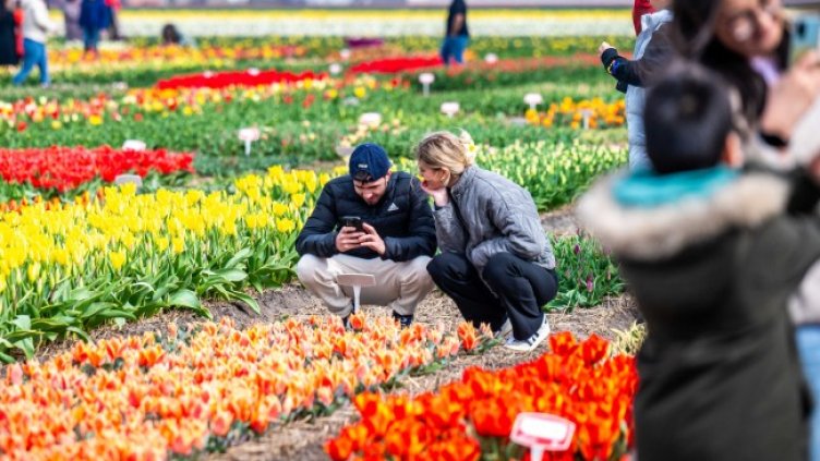 Снимка БГНЕС