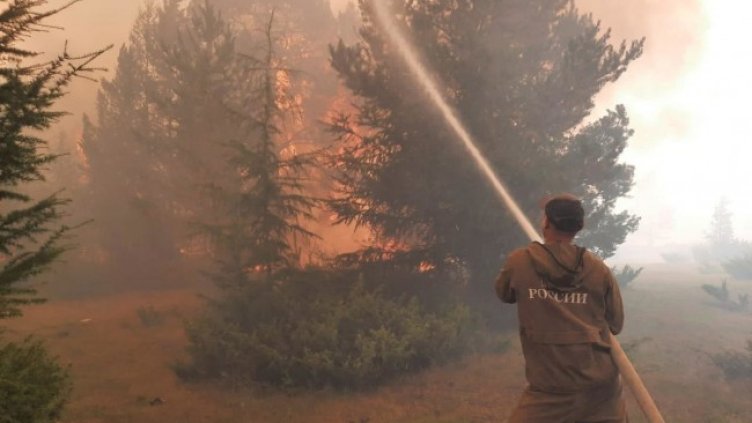 Снимка: архив, БГНЕС