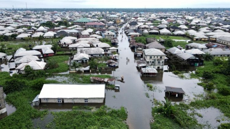 Снимка: архив, БГНЕС