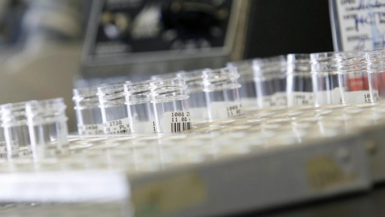 Снимка: архив, БГНЕС