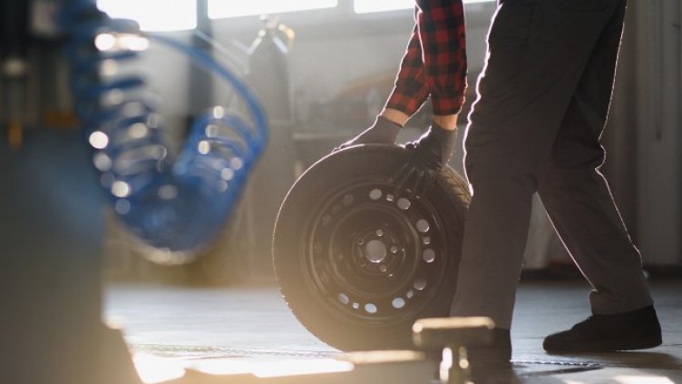 Снимки: Envato и Lidl