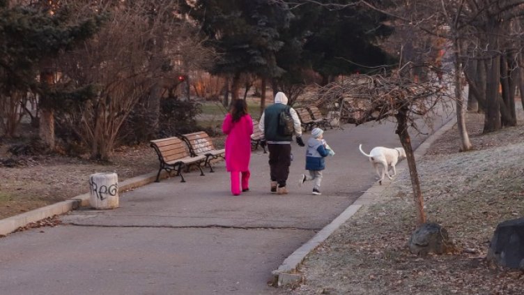 Снимка БГНЕС, архив