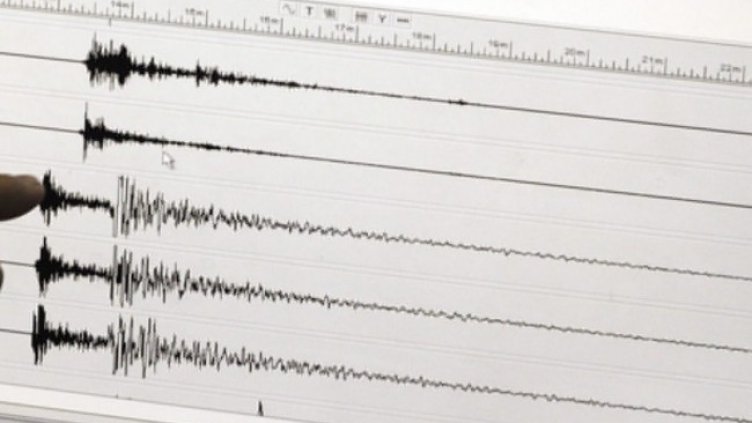 Снимка: архив, БГНЕС