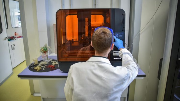 Снимка: архив, БГНЕС