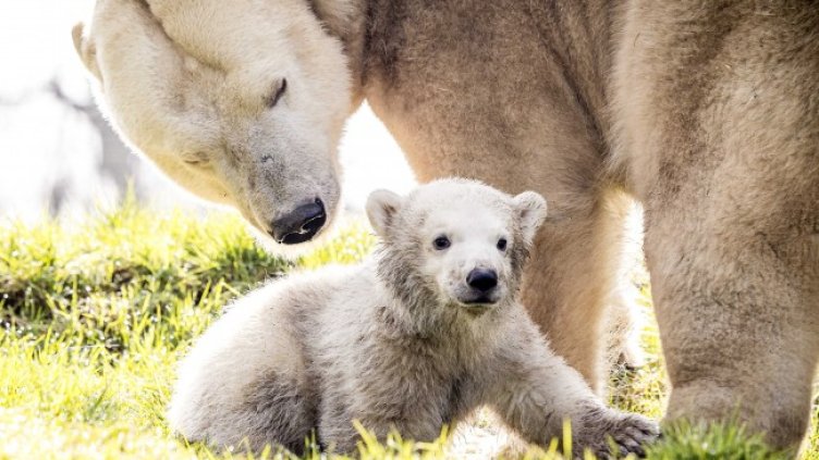 Снимка: архив, БГНЕС