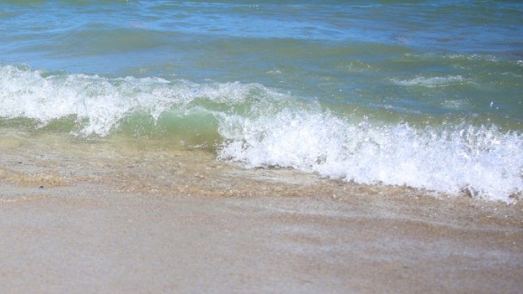 Снимка: архив, БГНЕС