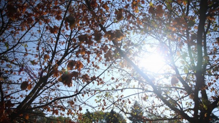 Снимка: архив, БГНЕС