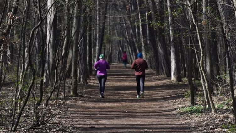 Снимка БГНЕС, архив