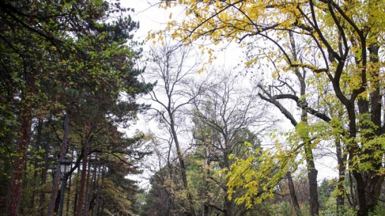 Снимка: архив, БГНЕС