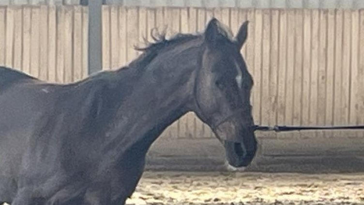 Снимка: БГНЕС, архив