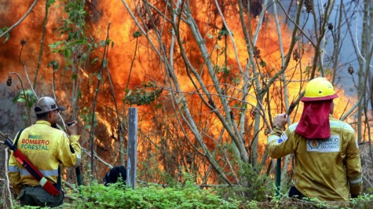 Снимка: БГНЕС/ EPA