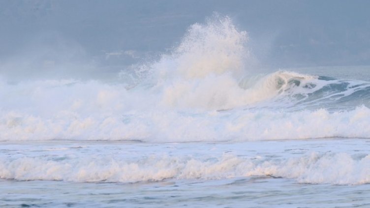 Снимка: архив, БГНЕС