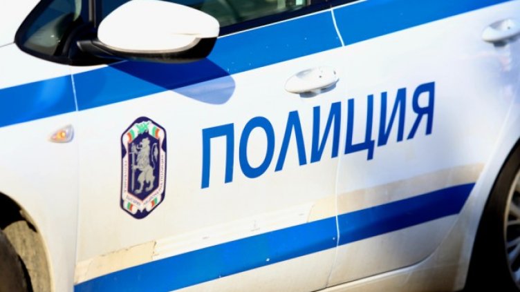 Снимка: архив, БГНЕС