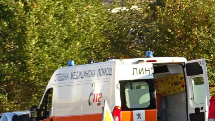 Снимка: БГНЕС