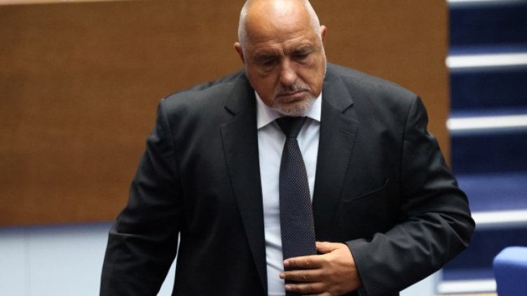 Снимка: БГНЕС