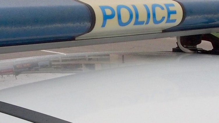 Снимка БГНЕС, архив