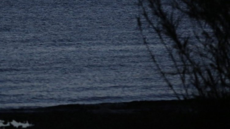 Снимка: архив, БГНЕС