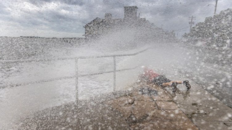 Снимка: архив, БГНЕС