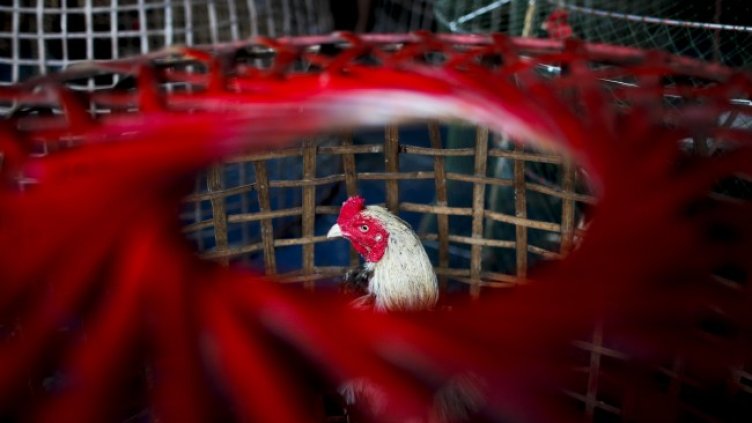 Снимка: БГНЕС/ EPA