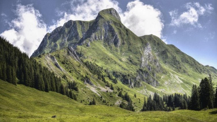 Снимка: Pixabay