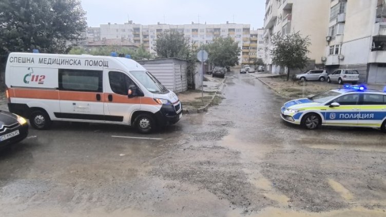 Снимка: БГНЕС