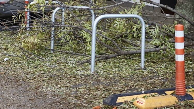 Снимка: БГНЕС, архив