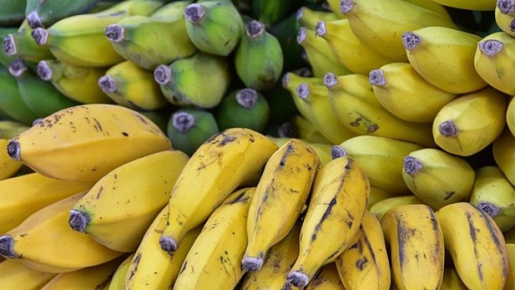 Снимка: Pixabay