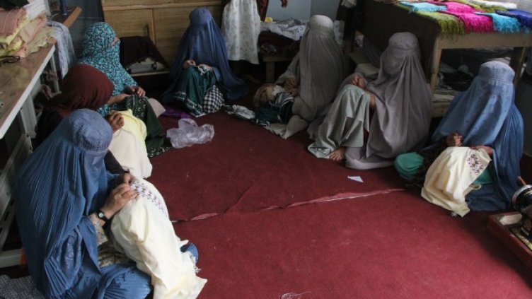 Снимка: архив, БГНЕС