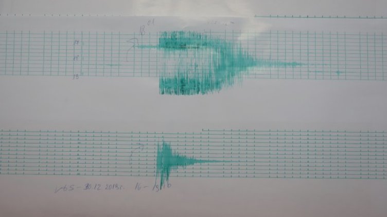 Снимка: БГНЕС