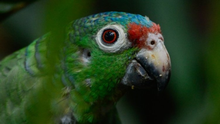 Снимка: БГНЕС/ EPA