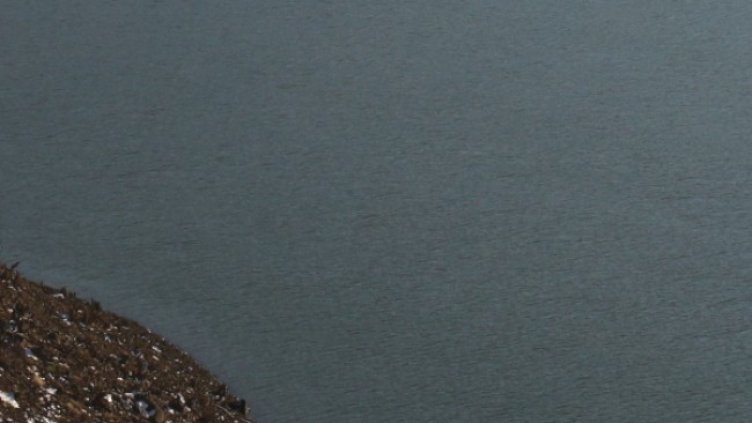 Снимка: архив, БГНЕС