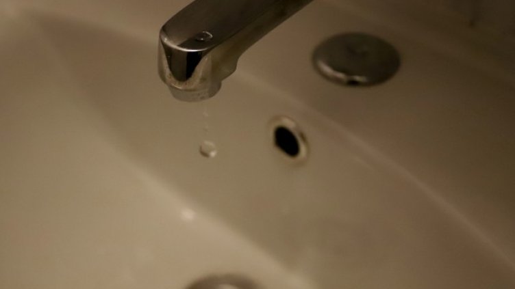 Снимка БГНЕС, архив