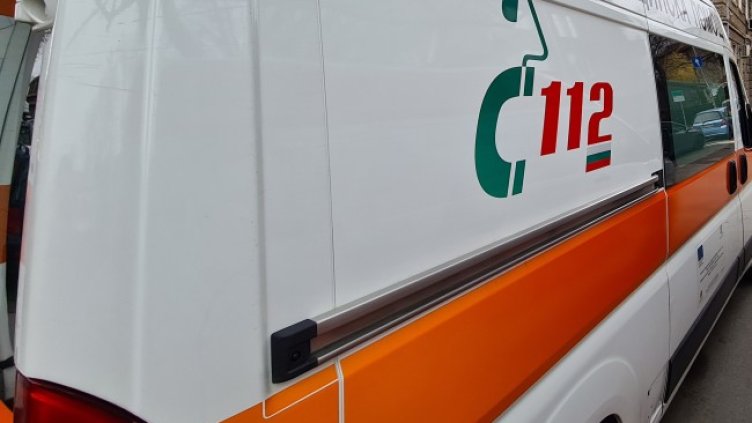 Снимка: архив, БГНЕС