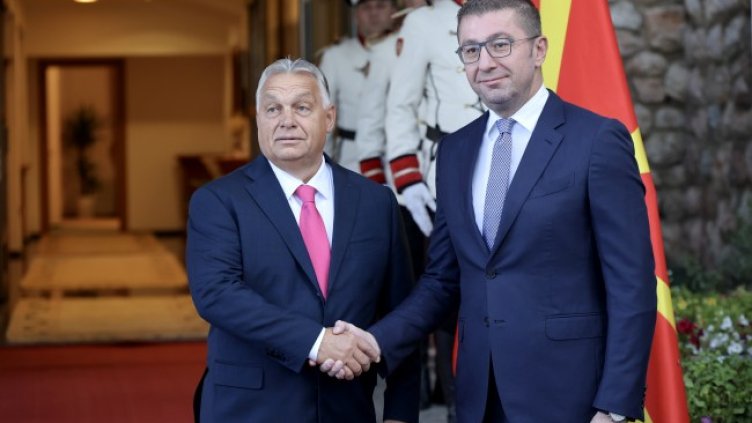 Снимка: архив, БГНЕС