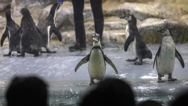 Снимка: ЕПА/БГНЕС