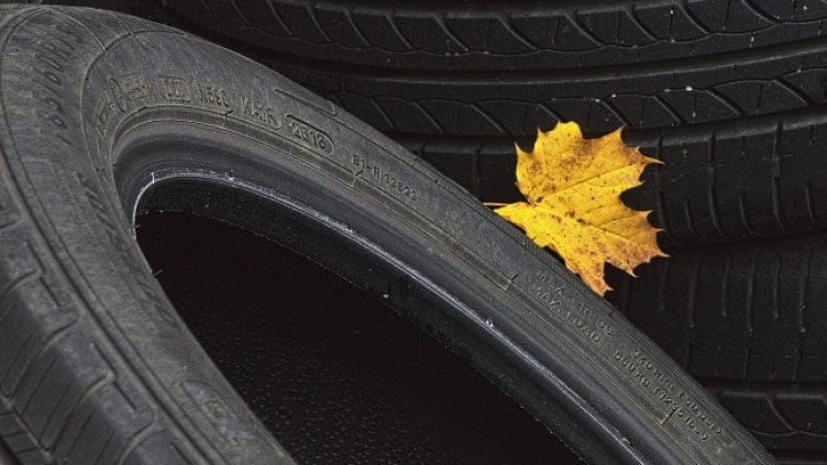 Снимка: Pixabay/anaterate