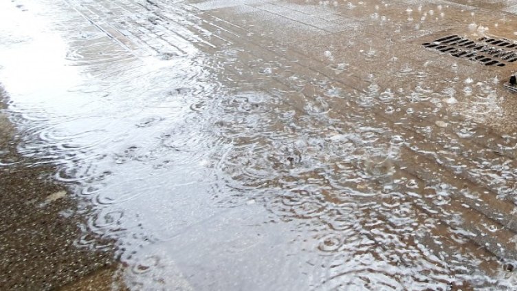 Снимка: БГНЕС/EPA