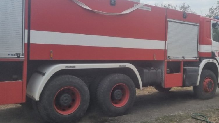 Снимка: архив, БГНЕС