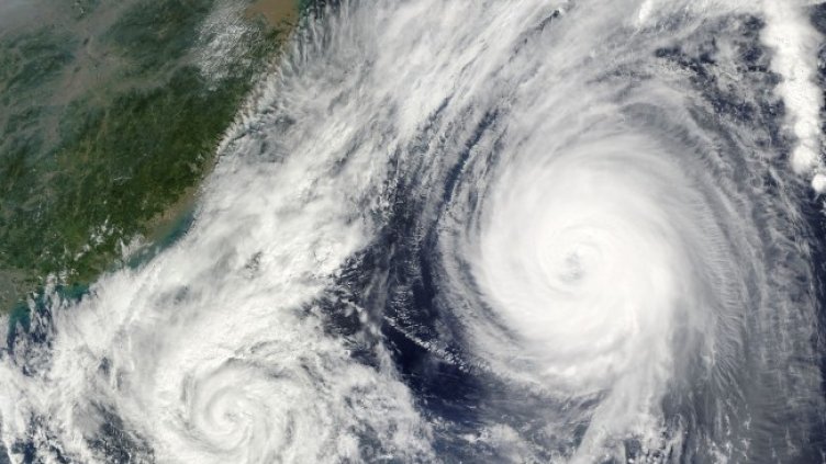 Снимка: Pixabay