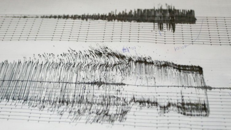 Снимка: архив, БГНЕС