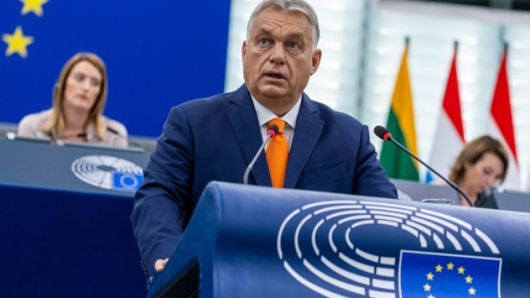 Снимка: архив, БГНЕС