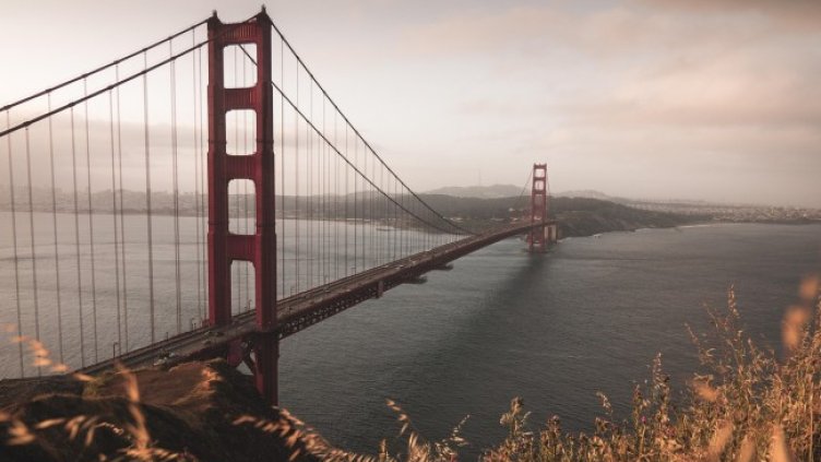 Снимка: Pixabay